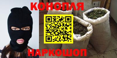 амф Кингисепп