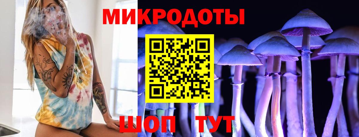 Шебекино  Псилоцибиновые грибы прущие грибы  Вход с VPN 
